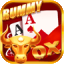 rummy 51 bonus noble icon