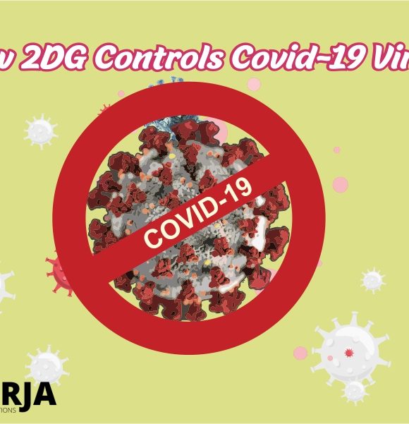 How 2DG controls COVID-19 virus?